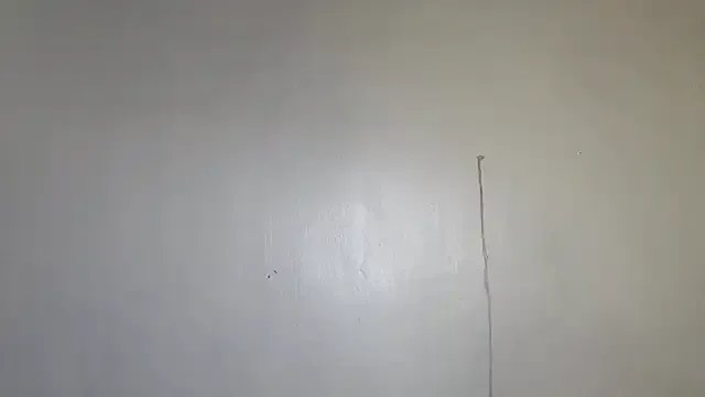 ShaunnaMaglori