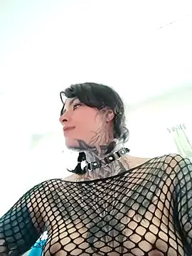 Freechat taaylor33 on StripChat