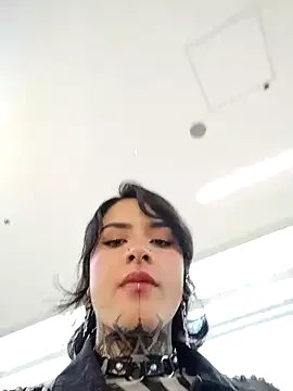 Freechat taaylor33 on StripChat